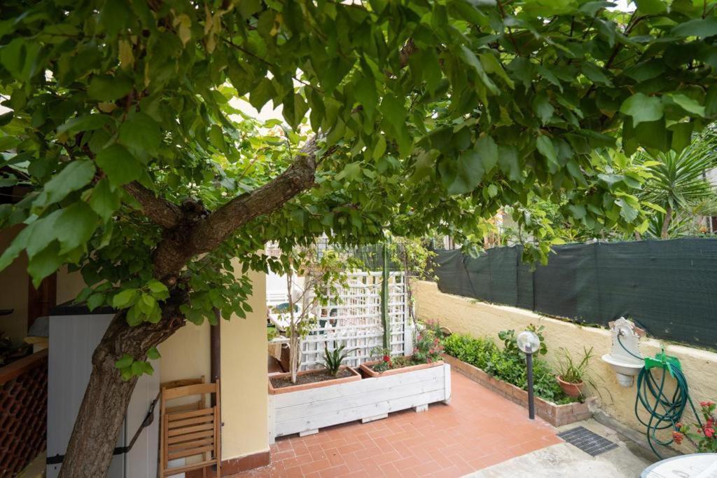 Ilios Apartman Tropea Kültér fotó